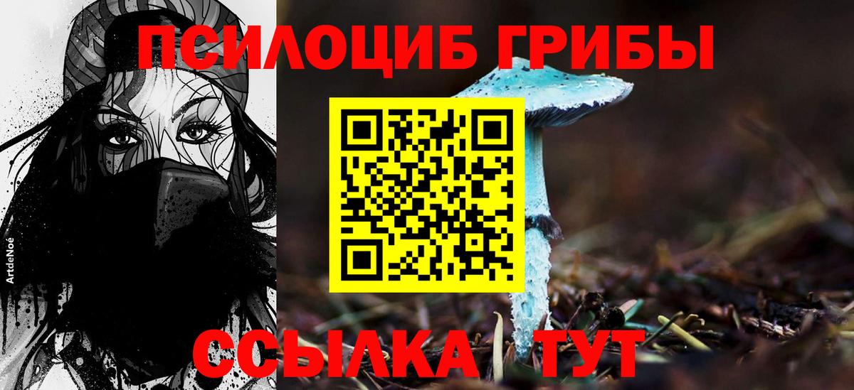 Галлюциногенные грибы Psilocybine cubensis  Вход с VPN  где купить наркоту  Ефремов 